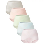Women's Seamless High Waist Panties – 5-Pack, Buttery Soft Full Coverage Underwear (S-XL)