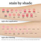 Apple Lip Oil & Lip Stain – 2-in-1 Glossy Tint | Long-Lasting, Hydrating | 16 Shades