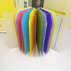 Budget Envelope Binder Set