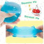 Cool Cat Sensory Squeeze Toy