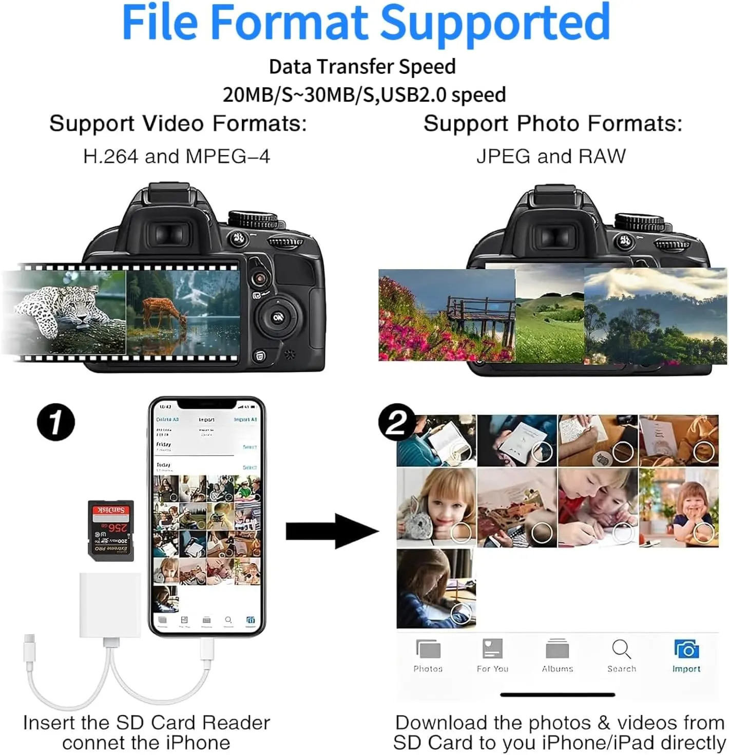 SD Card Reader